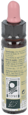 Cerise Prune Plantis Nº 06 10 ml