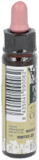 Cerise Prune Plantis Nº 06 10 ml