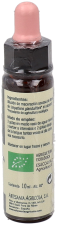 Impatiens Plantis n° 18 10 ml