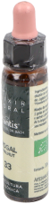 Noyer Plantis n° 33 10 ml