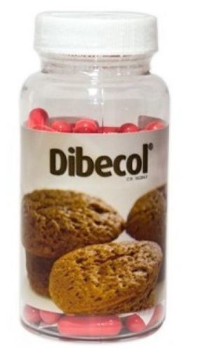 Dibecol 90 gélules