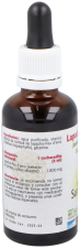 Lapacho Pau D&acute;arco 50 ml