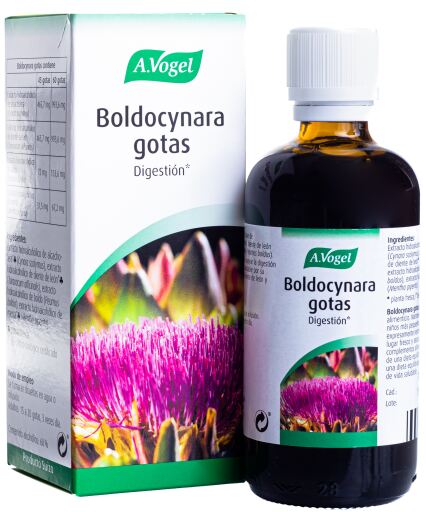 Boldocynara Gouttes 100 ml