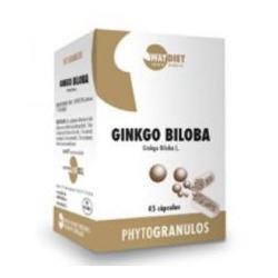 Ginkgo Biloba 45 gélules