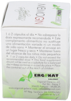 Ginkgo Biloba 45 gélules