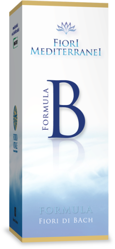 Fm Formule B Enfants 10 ml