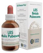 Betula Pubescens Bouleau pubescent 50 ml