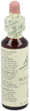 Bach 26 Heliantem ou Pot 20 ml