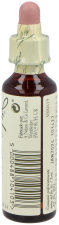 Bach 34 Water Violet 20 ml