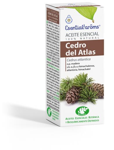 Essence de c&egrave;dre de l'Atlas