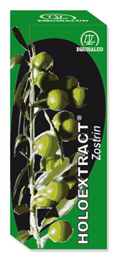 Equisalud Zostrin Holoextrait 31 ml