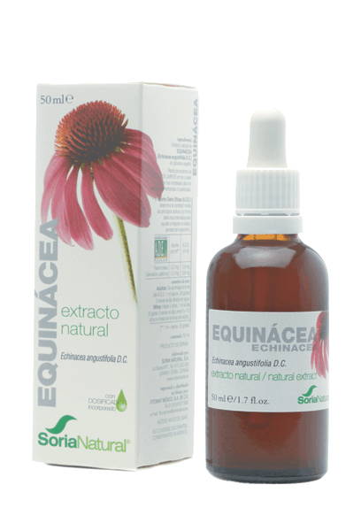 Extrait d&#39;échinacée Glycérine 50 ml