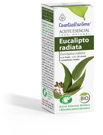 Huile essentielle d'Eucalyptus Radiata 10 ml