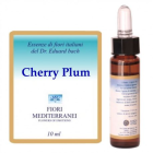 Fm 6 Prune Cerise 10 ml