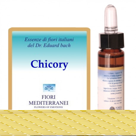 Fm 8 Chicor&eacute;e 10 ml