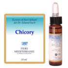 Fm 8 Chicor&eacute;e 10 ml