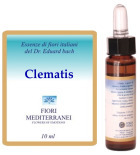 Cl&eacute;matite Fm 9 10 ml