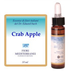Fm 10 Pomme Crabe 10 ml