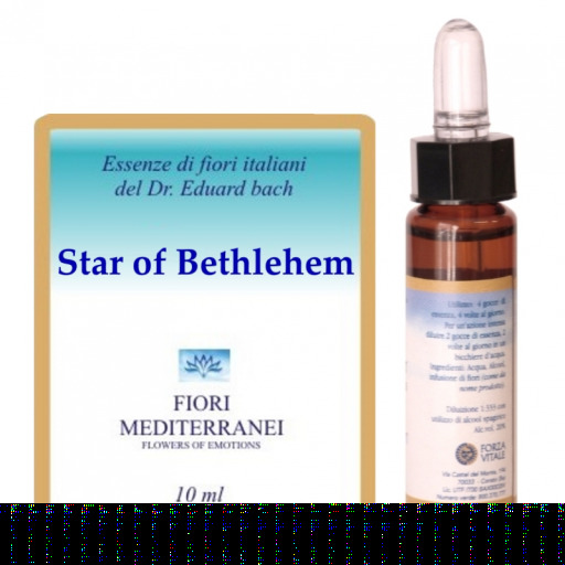 Fm 29 &eacute;toile de Bethl&eacute;em 10 ml