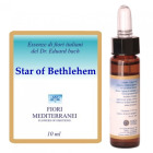 Fm 29 &eacute;toile de Bethl&eacute;em 10 ml
