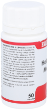 Capsules mémoire Holomega