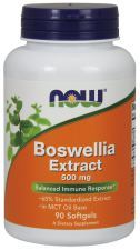 Extrait de Boswellia 500 mg 90 Capsules