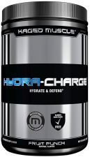 Punch aux fruits HydraCharge 282 g