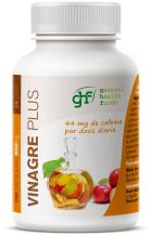 Vinaigre Plus 450 mg 100 G&eacute;lules