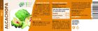 Artichaut 500 mg 100 Comprimés