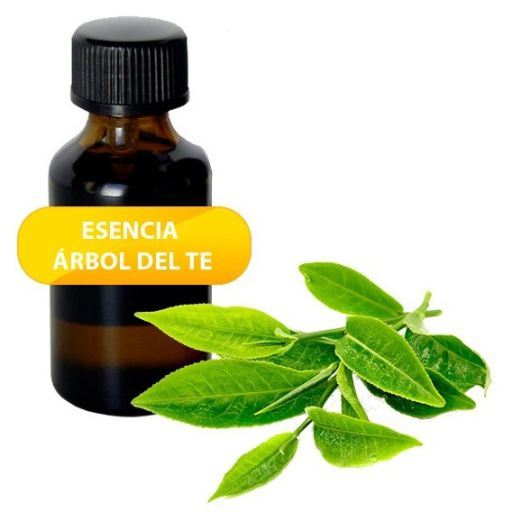 Herbi Feet Huile essentielle d'arbre &agrave; th&eacute; 100 ml