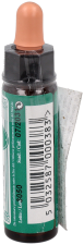 Recovery Remedy 10 ml