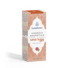 Synergie Aromatique Énergie 15 ml