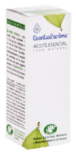 Fenouil 10ml