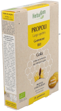 Propolis large spectre Bio 24 unités