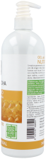 Gel douche miel et avoine bio 740 ml