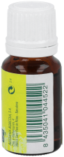 Essence 10 cc