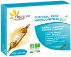 Curcuma Griffe du Diable Pr&ecirc;le Bio 40 g&eacute;lules