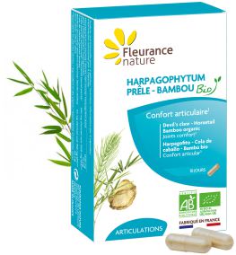 Harpagofito Pr&ecirc;le Bambou Bio