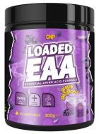 Chargé EAA 300 gr