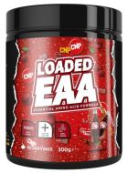 Chargé EAA 300 gr