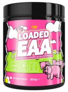 Chargé EAA 300 gr