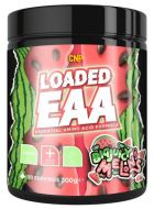 Chargé EAA 300 gr