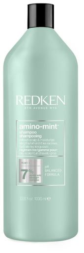 Redken Shampoing &agrave; la menthe et aux acides amin&eacute;s pour cuir chevelu gras
