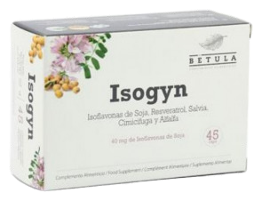 Betula Casquette Betula Isogyn 45