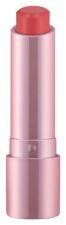 Rouge &agrave; l&egrave;vres Perfect Shine 3,5 gr