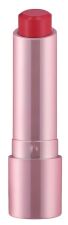 Rouge &agrave; l&egrave;vres Perfect Shine 3,5 gr