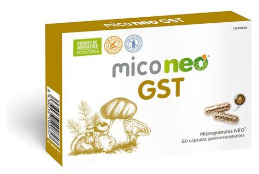 Neovital Health Mico Neo Gst 60 g&eacute;lules