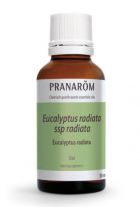 Huile essentielle d&#39;eucalyptus radié