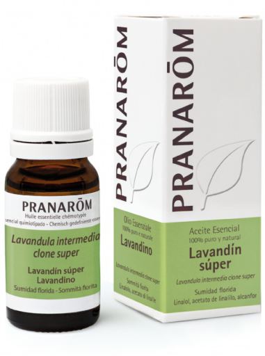Pranarom Huile essentielle de super lavande