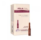 Ampoules de Collag&egrave;ne 10 x 2 ml